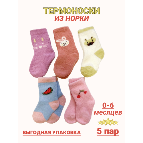 Носки Фенна Норка, 5 пар, размер 6-12, бирюзовый, розовый