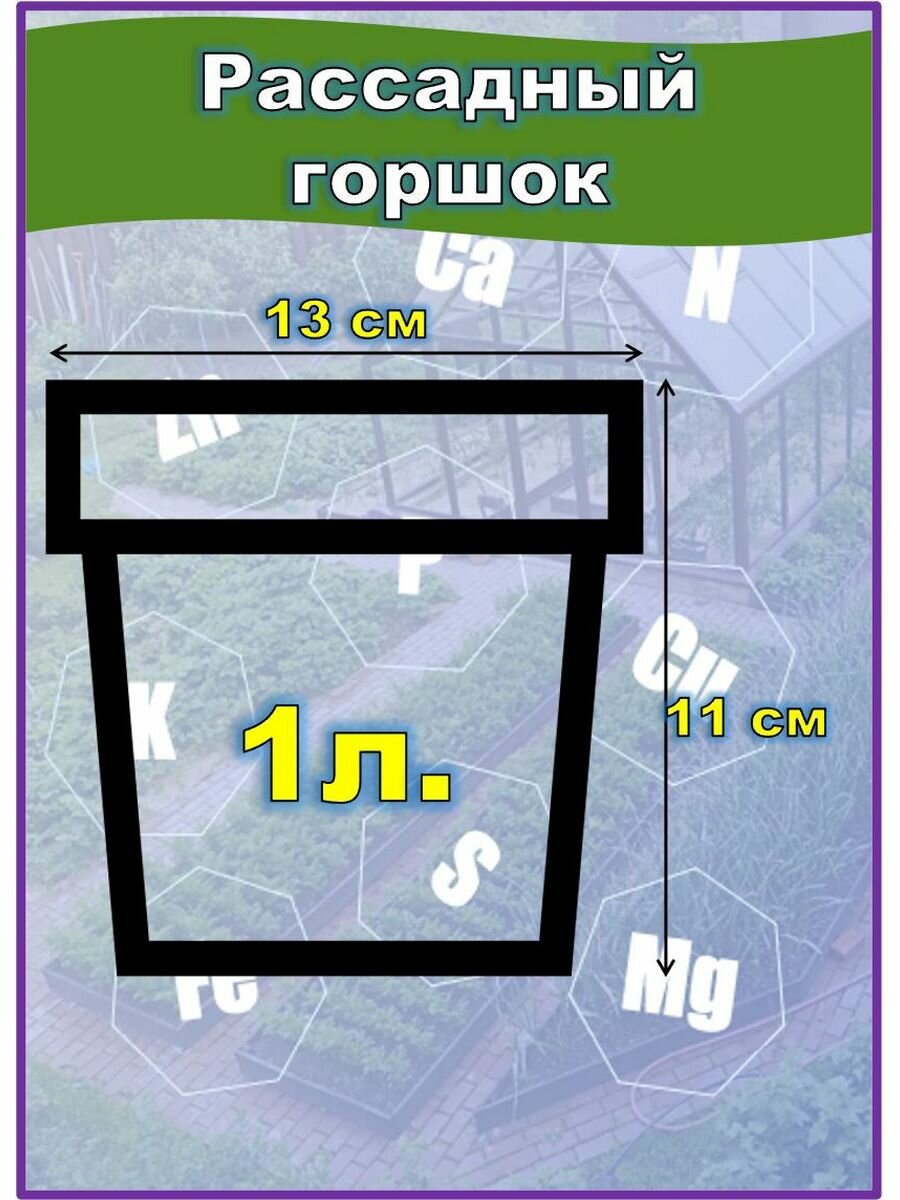 Горшок рассадный круглый, пластиковый 1л, 20шт - фотография № 2