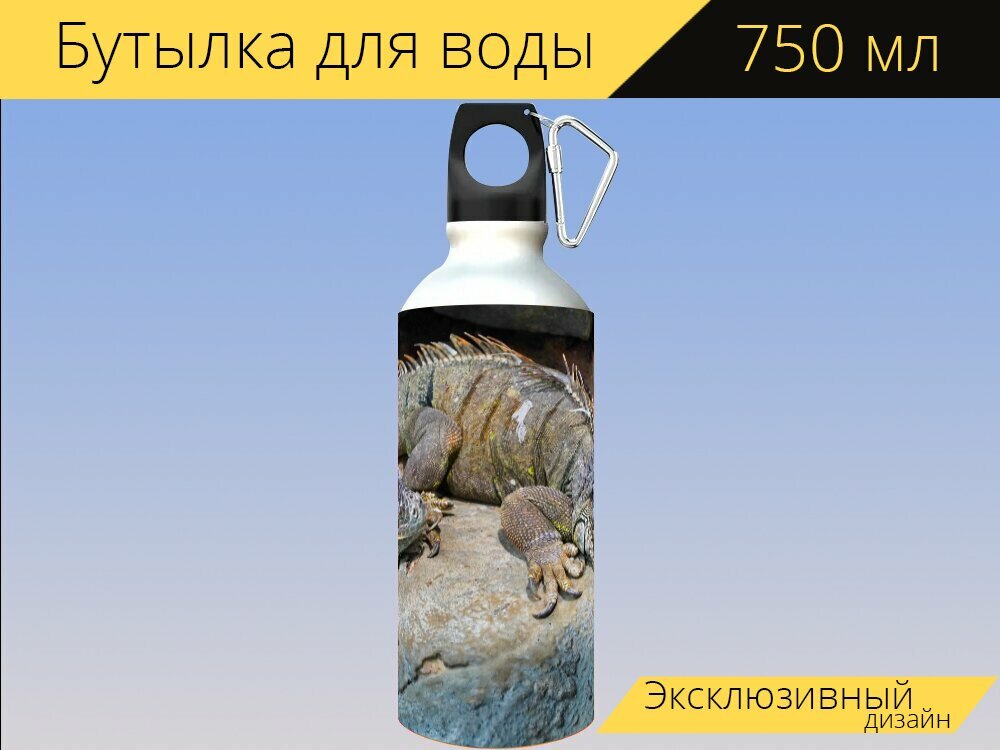 Бутылка фляга для воды "Ящерицы, террариум, рептилия" 750 мл. с карабином и принтом