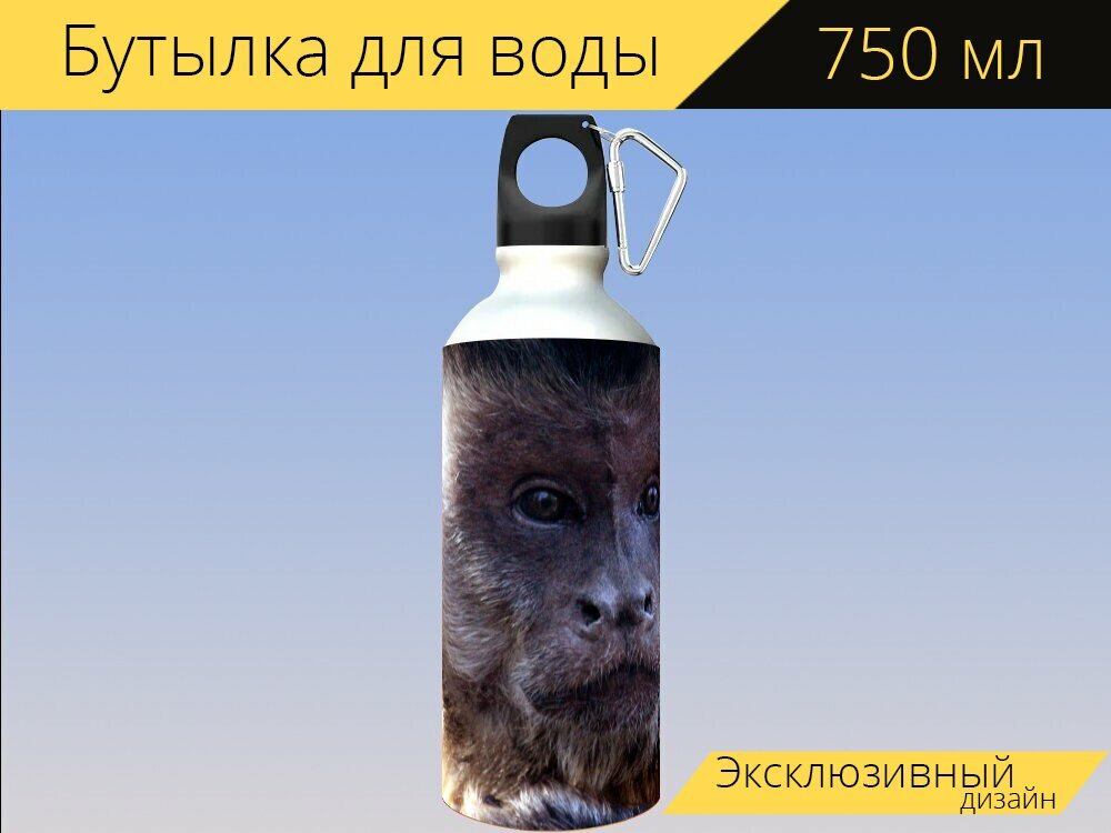 Бутылка фляга для воды "Капуцин примат обезьяна" 750 мл. с карабином и принтом