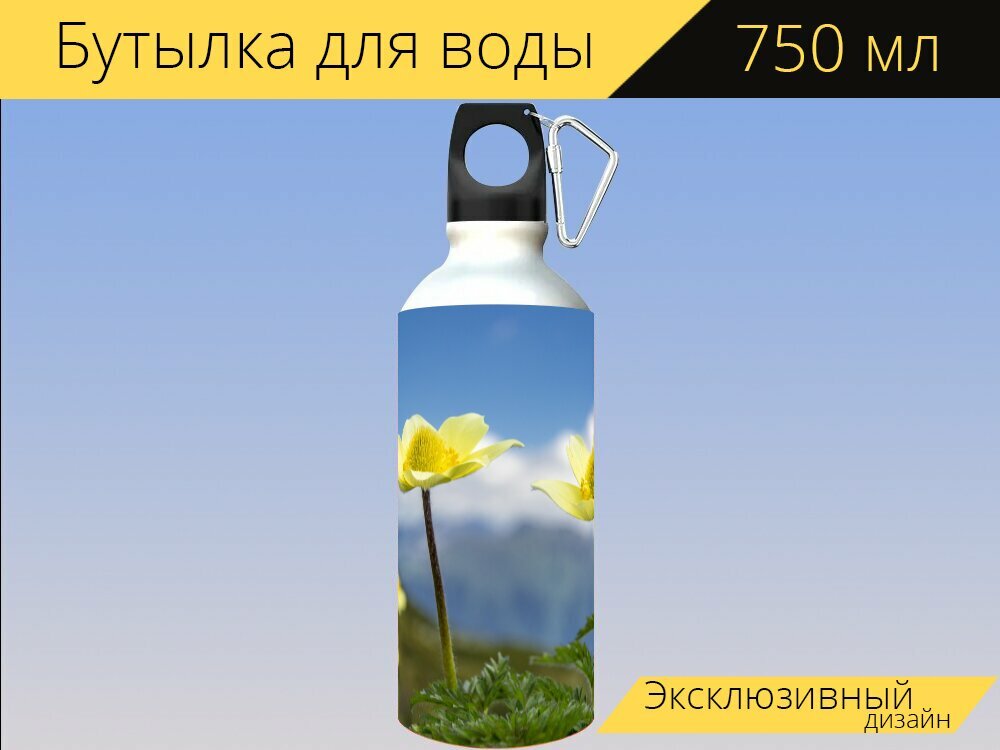 Бутылка фляга для воды "Серы анемона пульсатилла цвести" 750 мл. с карабином и принтом