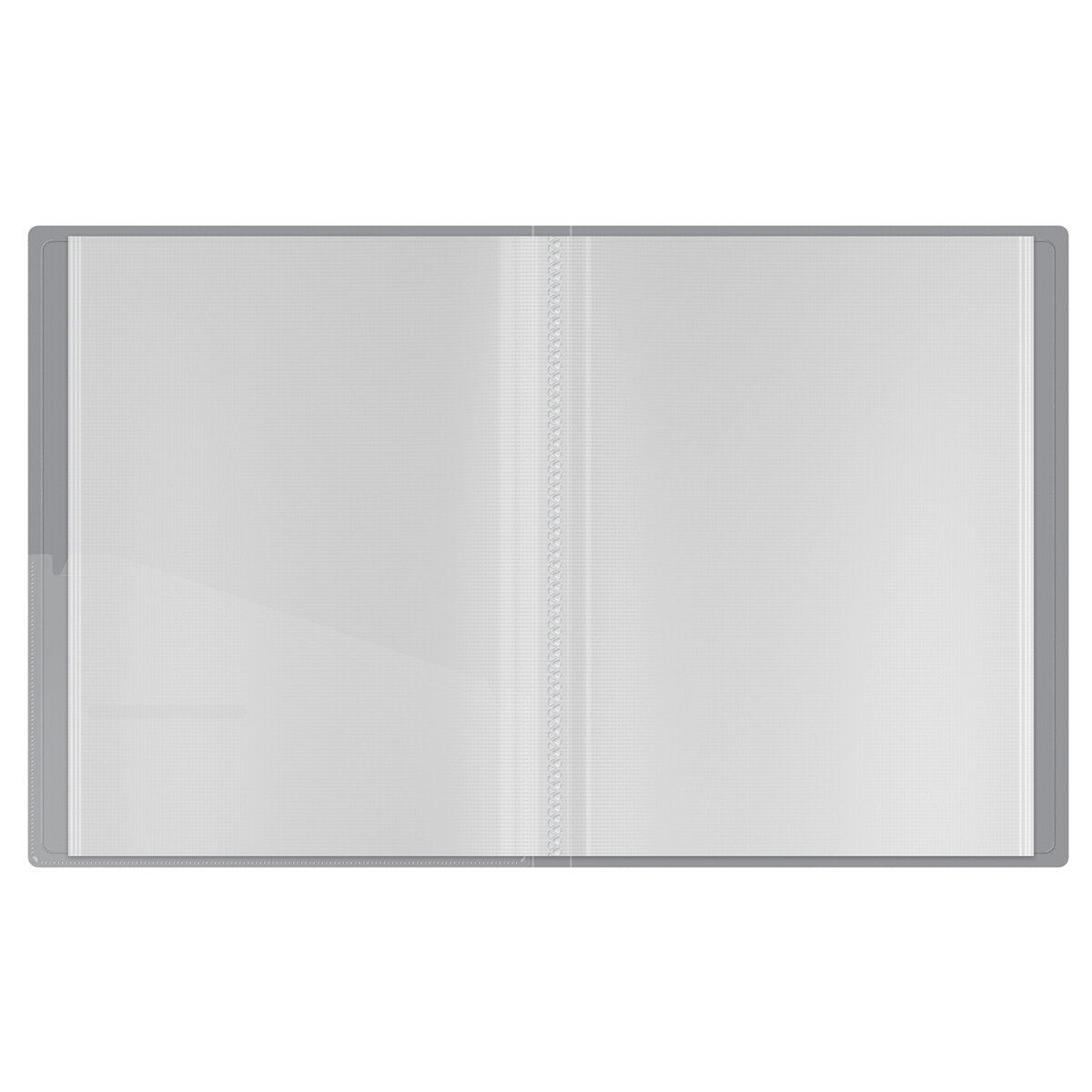 Папка с 40 вкладышами Berlingo "Metallic", 24мм, 1000мкм, серебряный металлик, с внутр. карманом