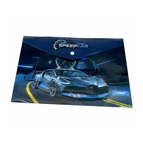 Папка с кнопкой А-4 CI-5 