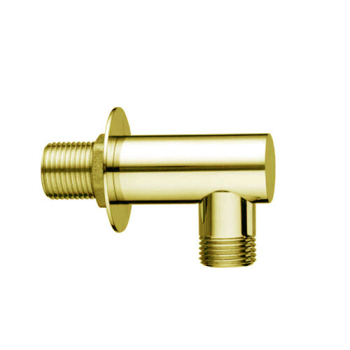 фото Шланговое подключение Bossini V00235.021 золото