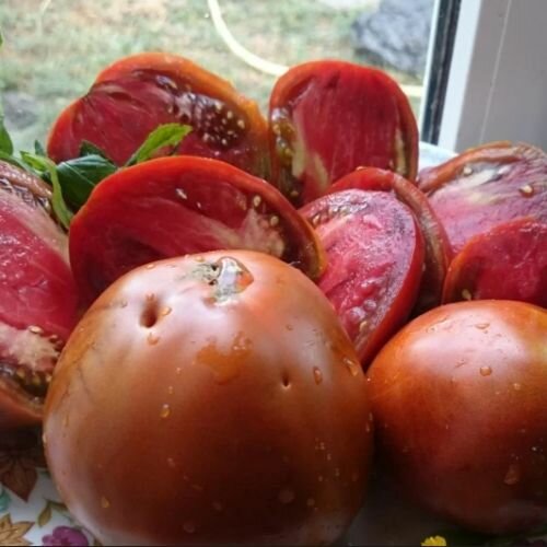 Коллекционные семена томата Вишнёвый от Зуси