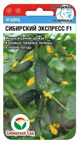Огурец Сибирский экспресс для улицы и теплицы Сибирский сад (1 упаковка-7 шт семян)