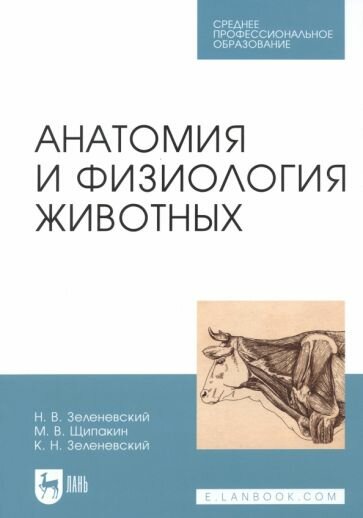 Анатомия и физиология животных. Учебник для СПО - фото №1