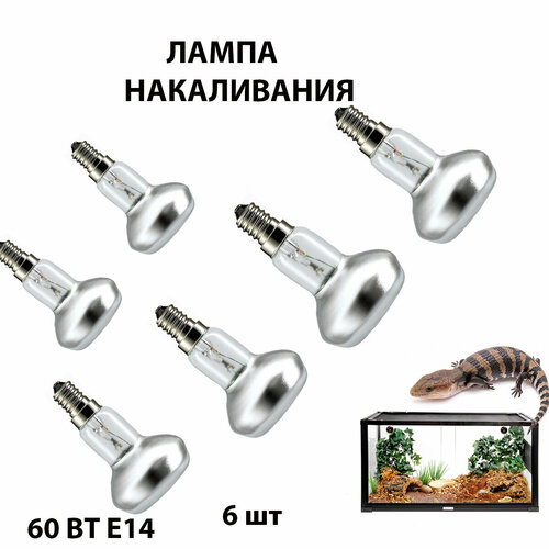 Для террариума лампа 6 шт для террариума черепах ящериц рептилий растения R50 230-60 E14 лампа дкб 9