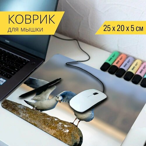 Коврик для мыши с принтом Чайки, птицы, животные 25x20см. коврик для мыши с принтом чайки птицы море 25x20см