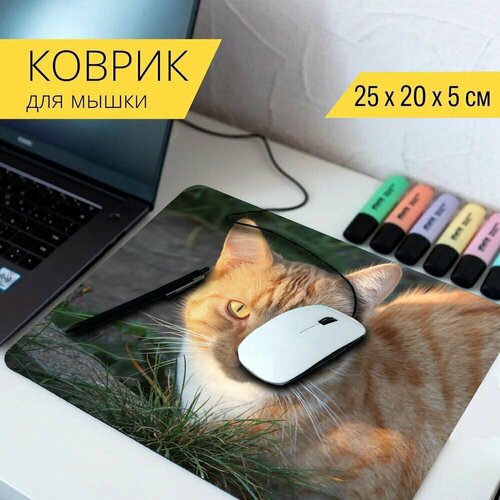 Коврик для мыши с принтом Кошка, домашняя кошка, котенок 25x20см.