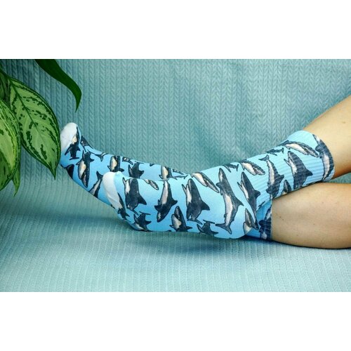 фото Носки cotton print, размер 41/45, голубой хлопковые cotton print