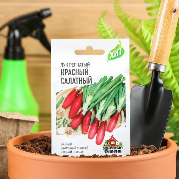 Семена Лук на зелень репчатый Красный салатный 0.5 г серия ХИТ х3 6 шт.