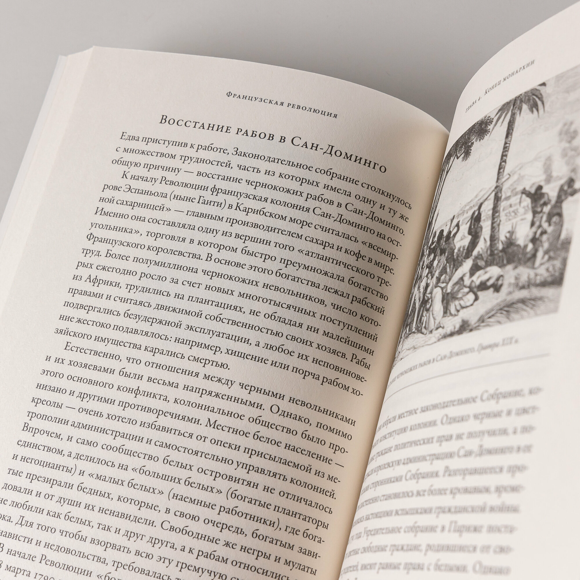 Французская революция (Бовыкин Дмитрий Юрьевич; Чудинов Александр Викторович) - фото №10