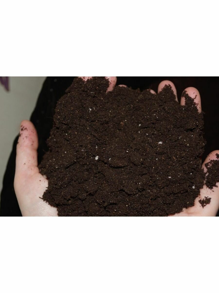 "Живая Земля" - универсальный грунт для растений, 10 литров