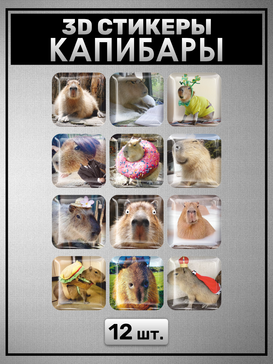 3D стикеры Капибары