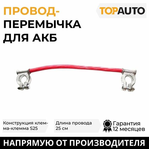 Провод АКБ с клеммой, перемычка для АКБ Топ Авто 0.25 м, клемма-клемма S25, TK 0243