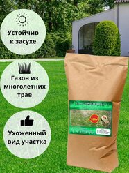 Газонная трава семена "Проплешина", 10 кг, Зеленстрой