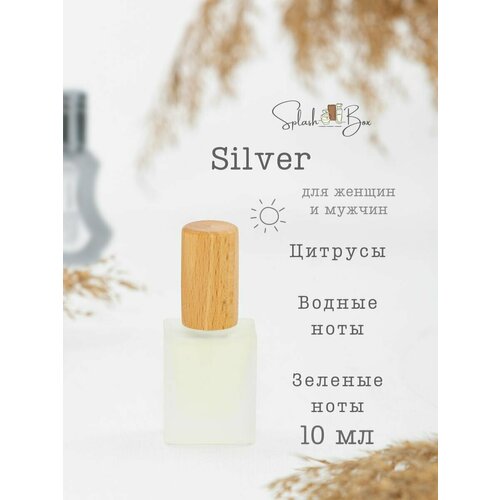 Silver духи стойкие