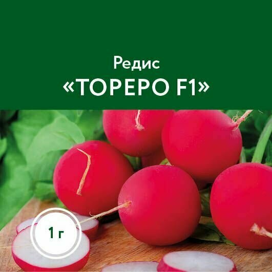 Коллекционные семена редиса Тореро F1