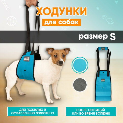 Ходунки для собак, задняя поддержка для собак Mr Dog голубая, S задняя поддержка для собак mr dog голубая xl