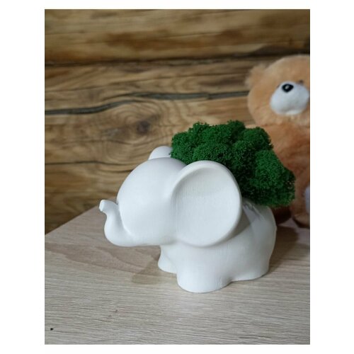 Кашпо со стабилизированным мхом/ кашпо для детей