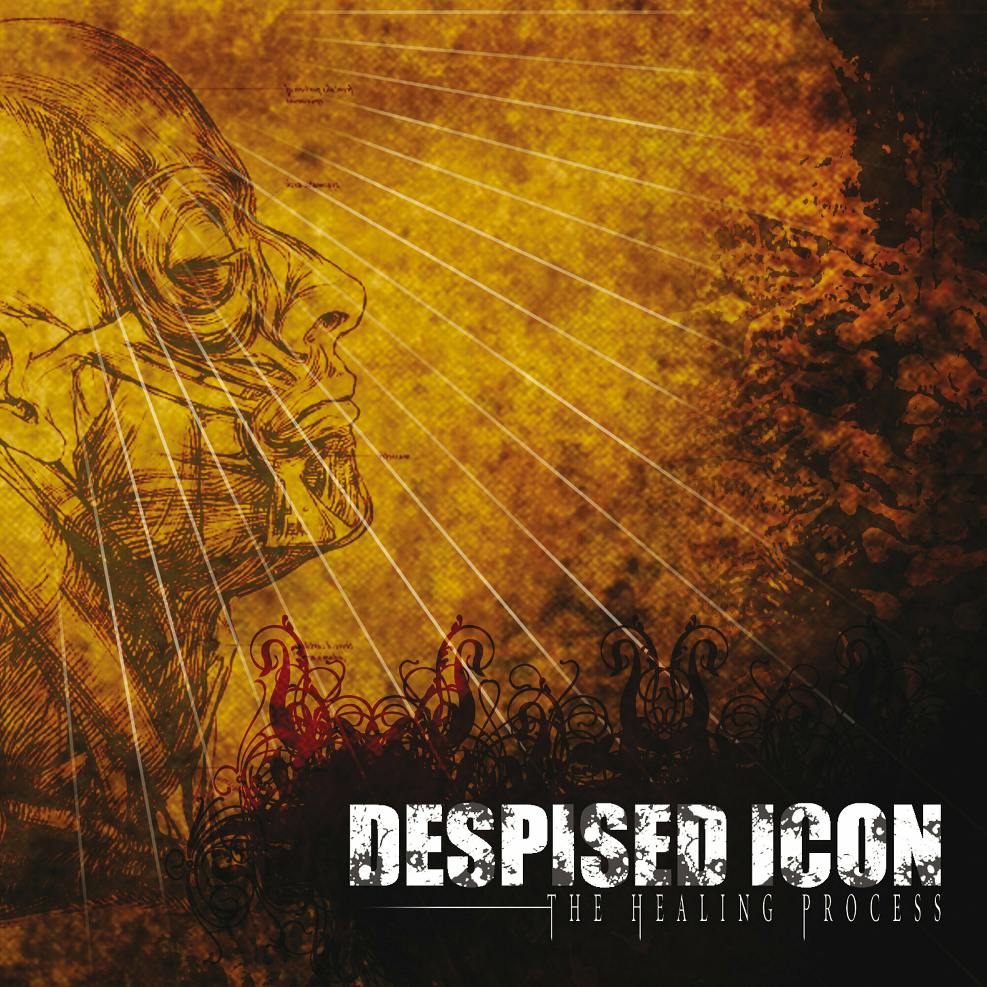 AUDIO CD Despised Icon - The Healing Process. 1 CD (Jewelbox)