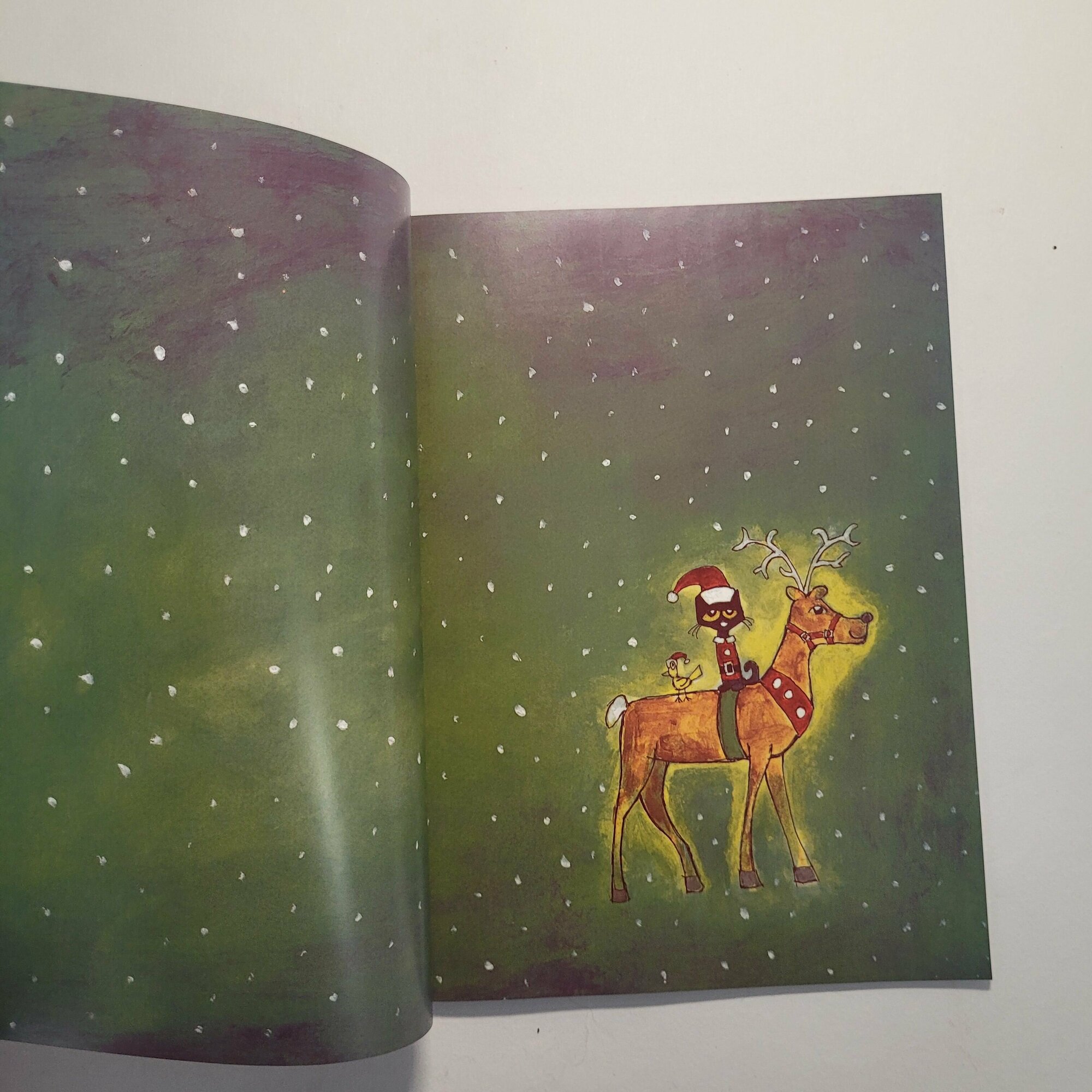 Pete the Cat Saves Christmas (Litwin Eric) - фото №5
