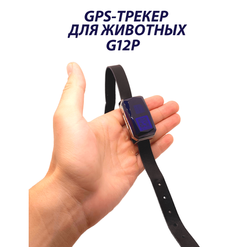 GPS трекер G12P