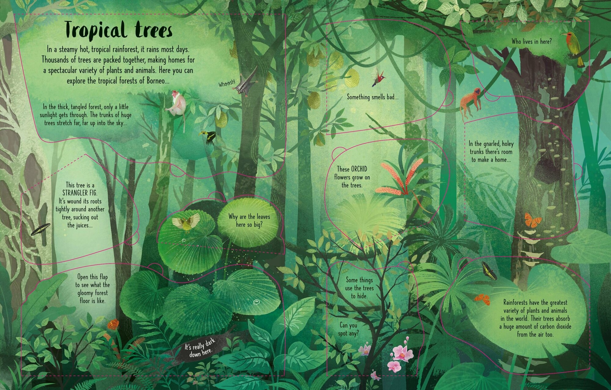 Lift-the-Flap Trees (Bone Emily) - фото №4