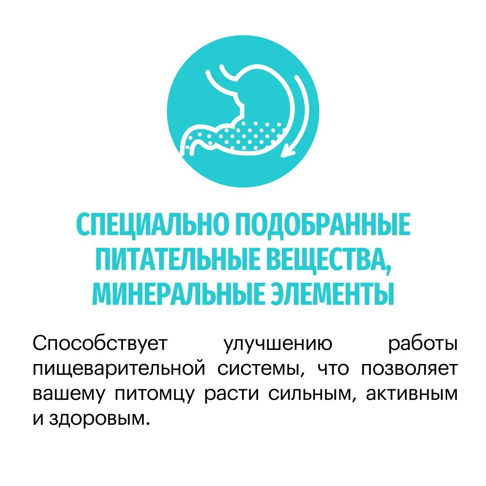 Полнорационный сухой корм KARMY Hypoallergenic Medium & Maxi для собак средних и крупных пород, склонных к пищевой аллергии, Ягненок 14 кг — фото 1