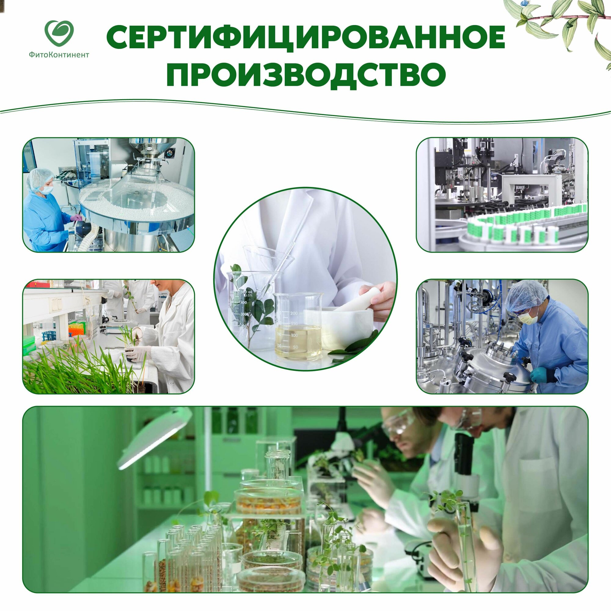 Растительные Препараты От Холестерина Травяной сбор Холестерин норма, 90 таблеток