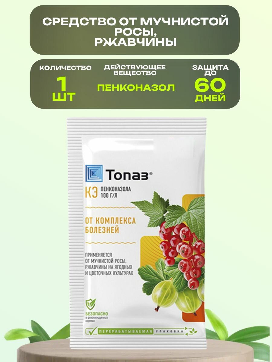 Пестицид Топаз, 1 упаковка 2 мл: защищает от мучнистой росы и ржавчины