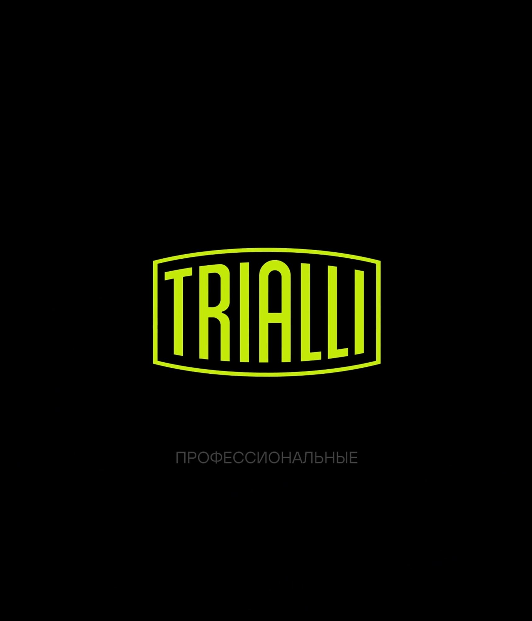 Амортизатор для автомобилей МАЗ 6430 / 6422 (449 / 709 40x45 40x45 O/O) задний AH 12507 TRIALLI — фото 1