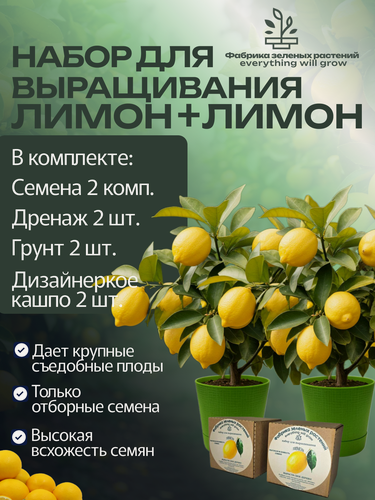 Изображение товара Домашний лимон, набор, лимонное дерево 2шт.