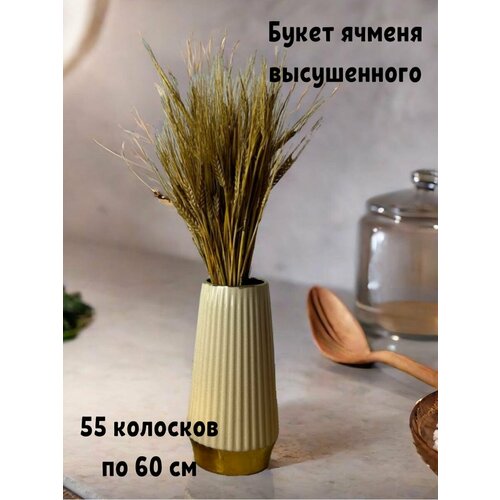Букет настоящего ячменя сухоцветом 55 вточек 60см