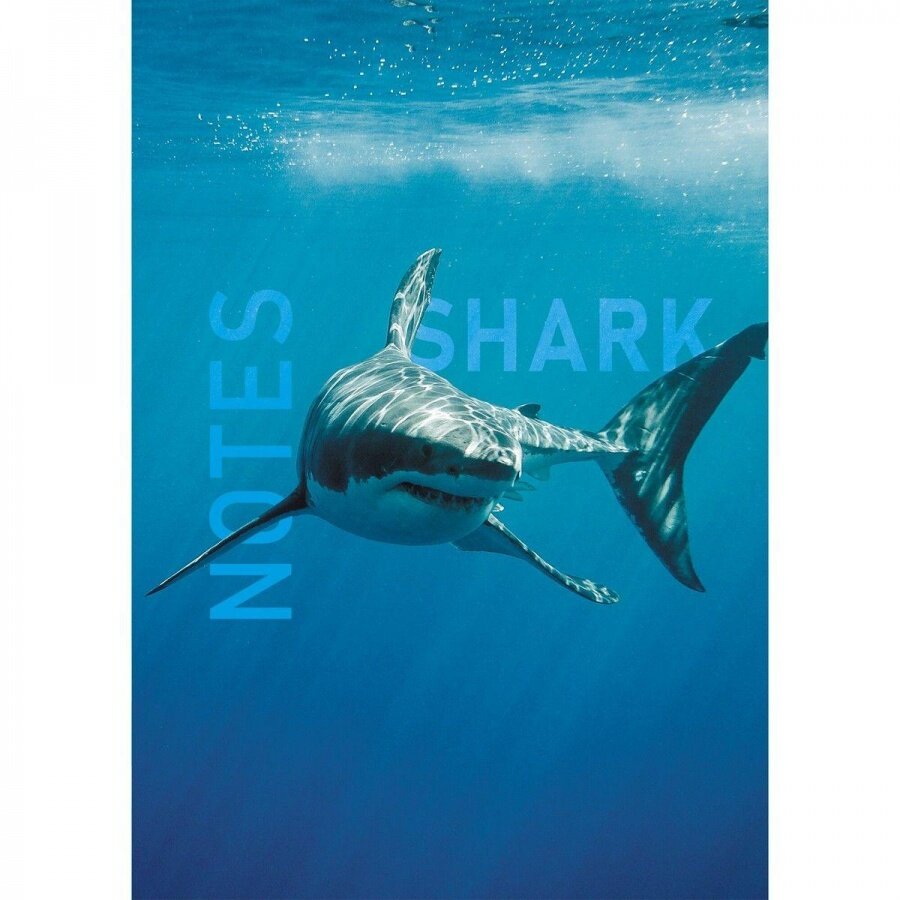 Записная книжка А5 Listoff "Shark", 80 листов, клетка, интегральная обложка