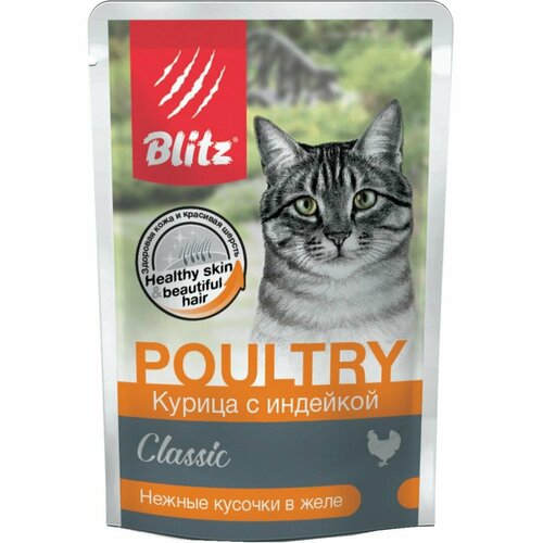 Влажный корм для кошек Blitz Classic Chicken & Turkey in Jelly Adult Cat All Breeds Курица с индейкой в желе 85 г blitz паучи для кошек курица индейка в желе bcw05 1 00085 classic chicken turkey in jelly adult cat all breeds 0 085 кг 26 шт