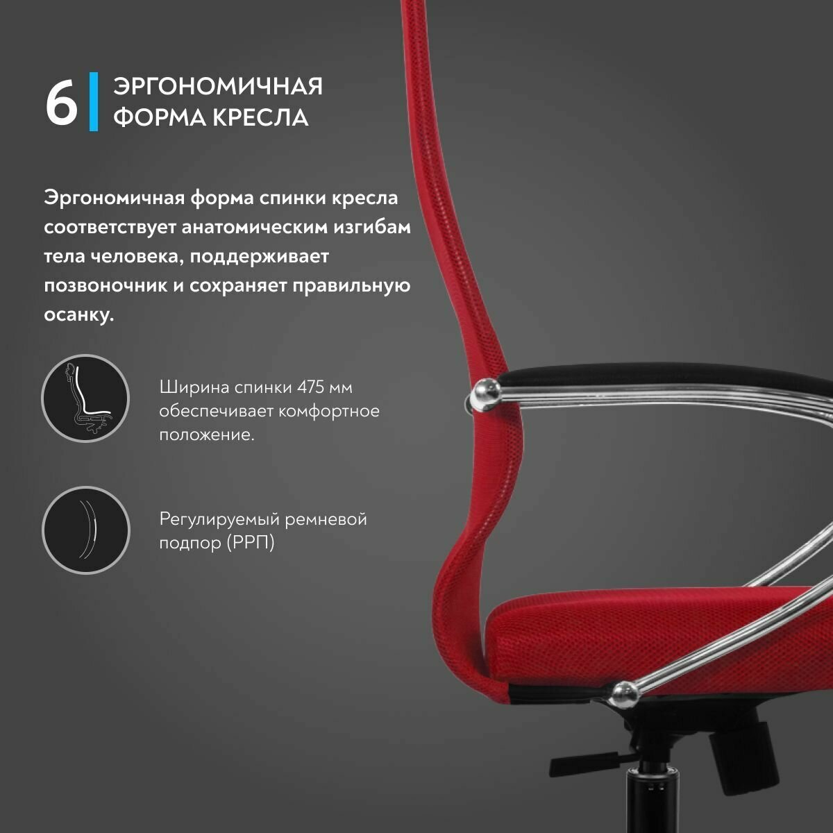 МЕТТА - фото №3