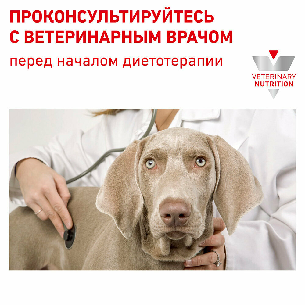 Сухой диетический корм Royal Canin Veterinary Diet Renal для взрослых собак при почечной недостаточности, 2кг - фото №13