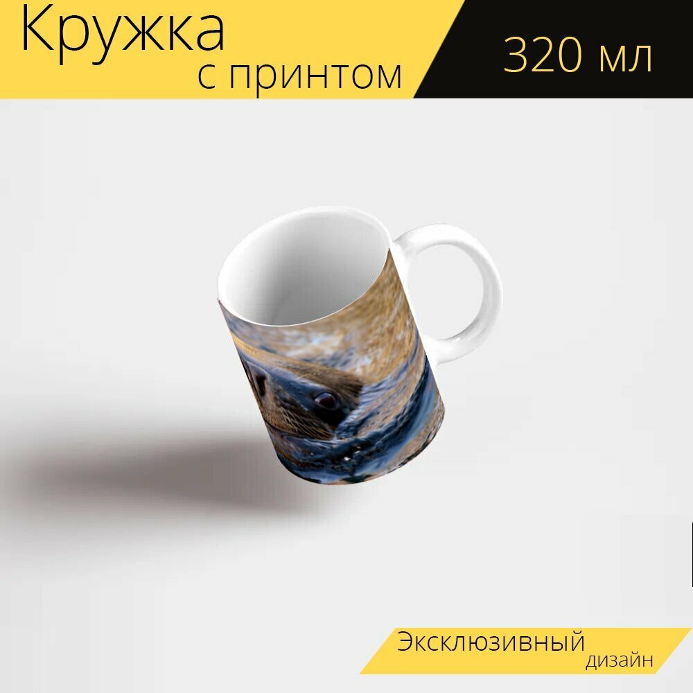 Кружка с рисунком, принтом "Тюлень, морской лев, плавать" 320 мл.