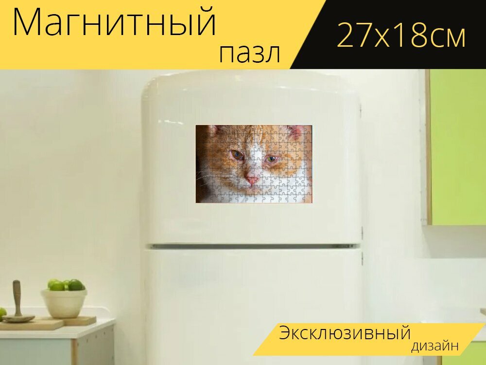 Магнитный пазл "Кошка, домашний питомец, животное" на холодильник 27 x 18 см.