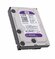Жесткий диск Western Digital WD Purple WD20PURX