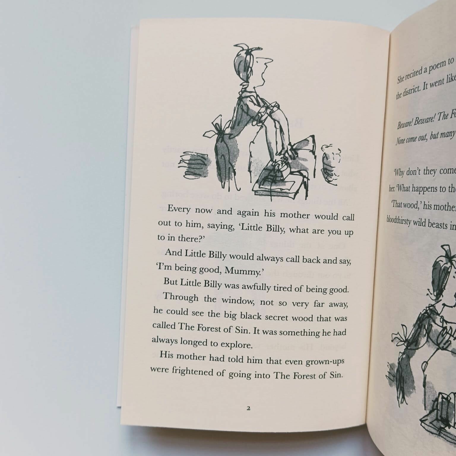 Billy and the Minpins (Roald Dahl) - фото №9