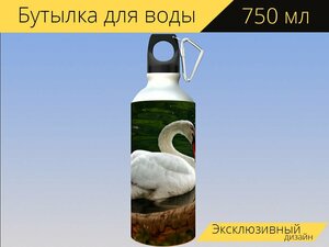 Бутылка фляга для воды "Лебедь, озеро, птица" 750 мл. с карабином и принтом