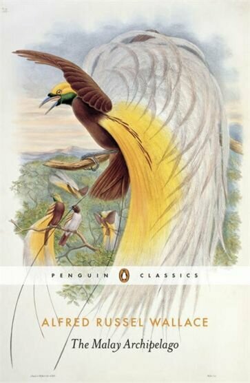 The Malay Archipelago (Wallace Alfred Russel) - фото №1