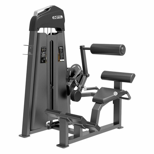 фото Разгибание спины (back extension) dhz e-3031. стек 109 кг