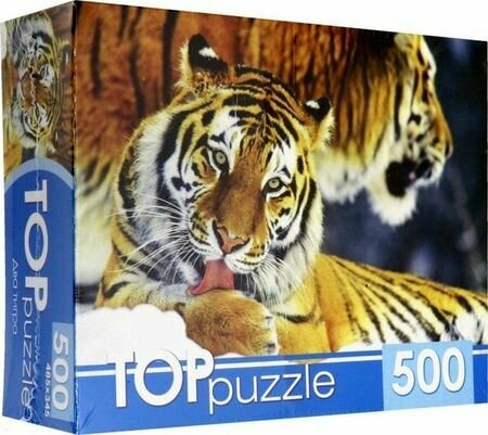 TOPpuzzle-500 "Два тигра" (КБТП500-6797) Рыжий кот - фото №4
