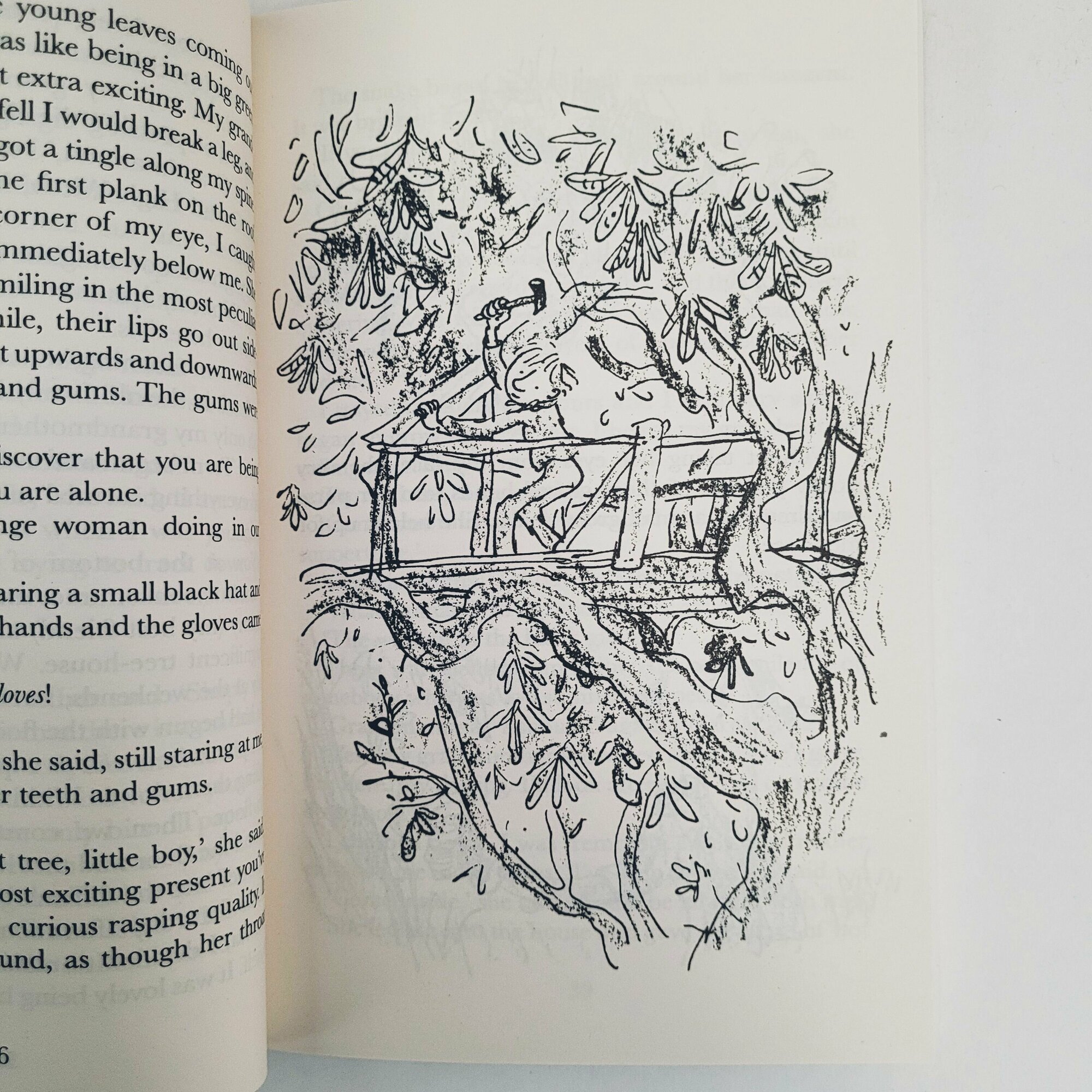 The Witches (Roald Dahl) - фото №11