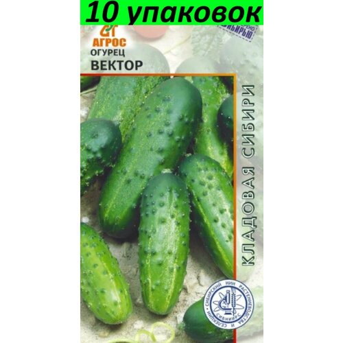 Семена Огурец Вектор 10уп по 10шт (Агрос)