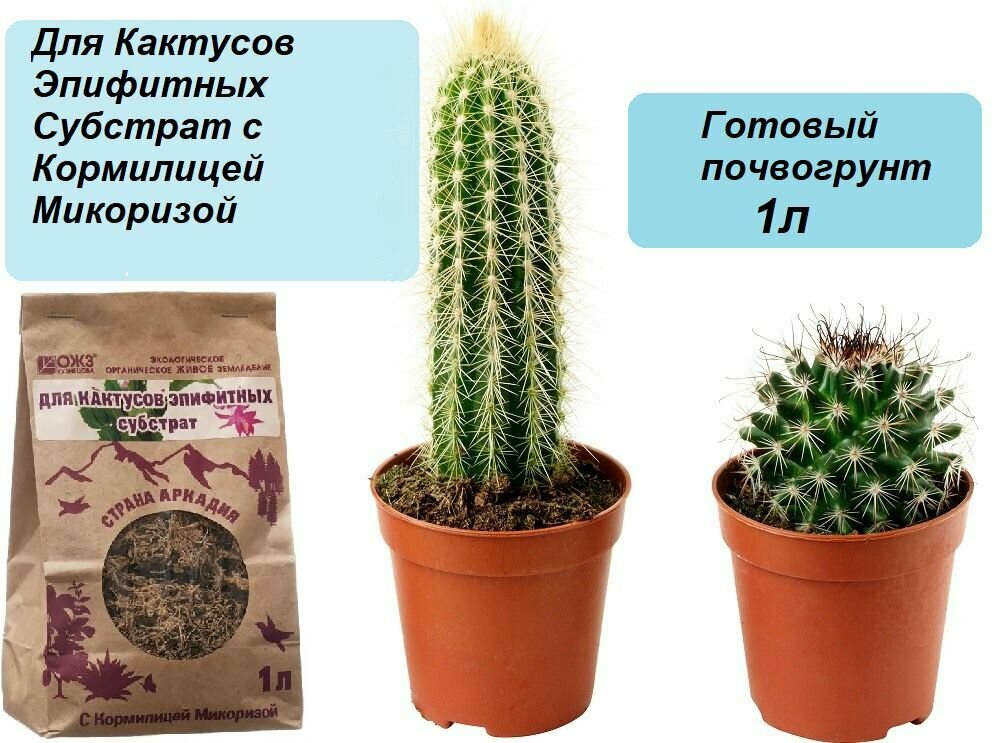 Грунт/субстрат с Кормилицей Микоризой для выращивания эпифитных кактусов Страна Аркадия  1л